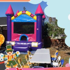 small jumper, kids bounce house, princess castle, mini princess bouncy castle